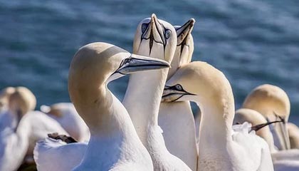 开云官网-北京国安新帅：将带着对胜利的渴望出发