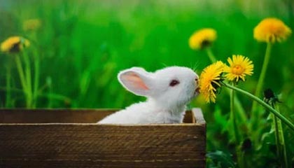 开云入口-键盘侠|乔丹带队很难不赢球！伦纳德现在是联盟前六&amp;健康能进一阵